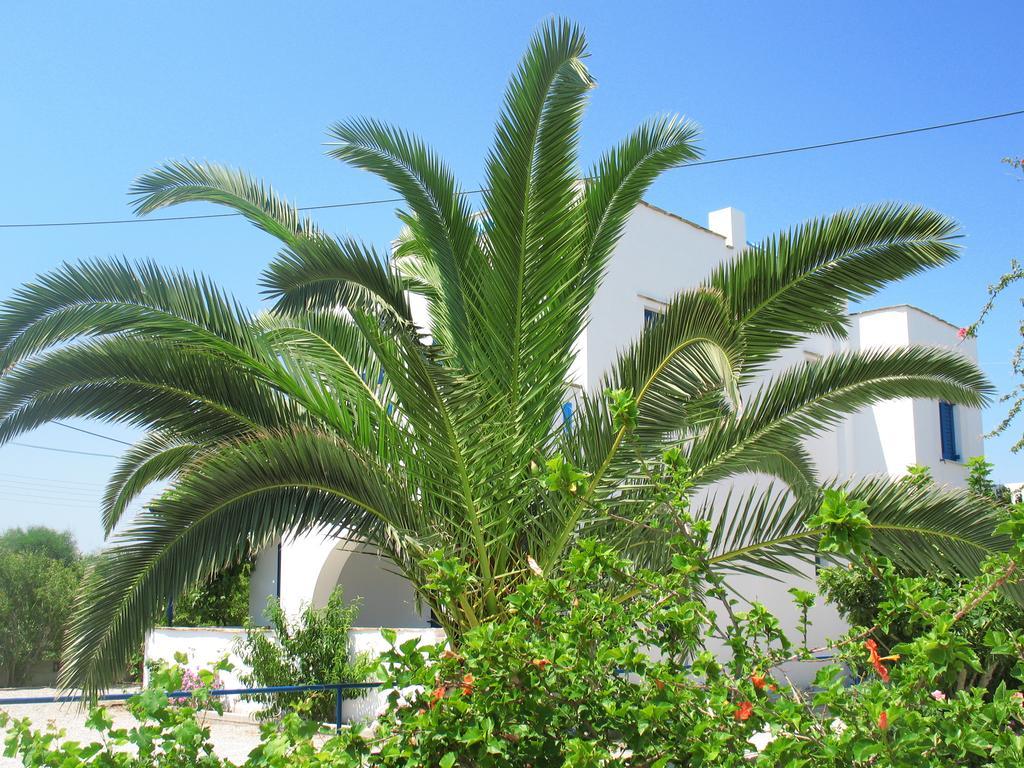 Mavromatis Studios Naxos City Exterior foto